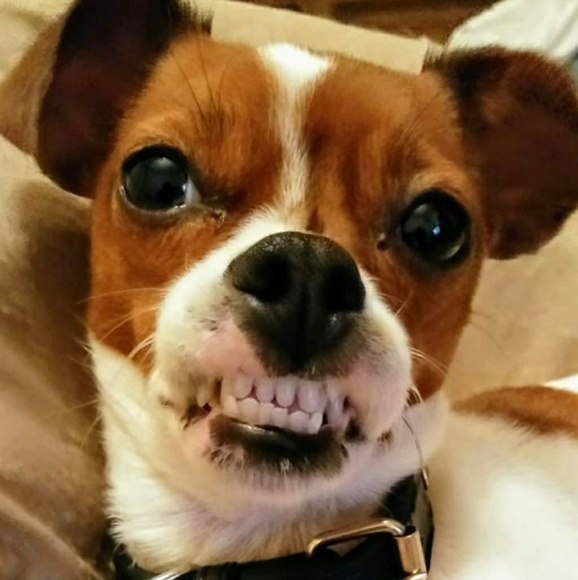 πππππΎ - Picture 2 of 2